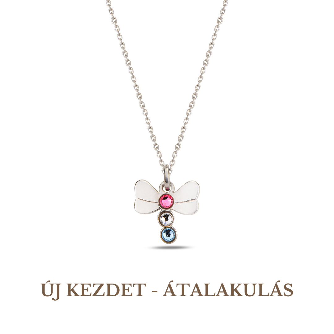 Dragonfly Symbol Necklace Silver