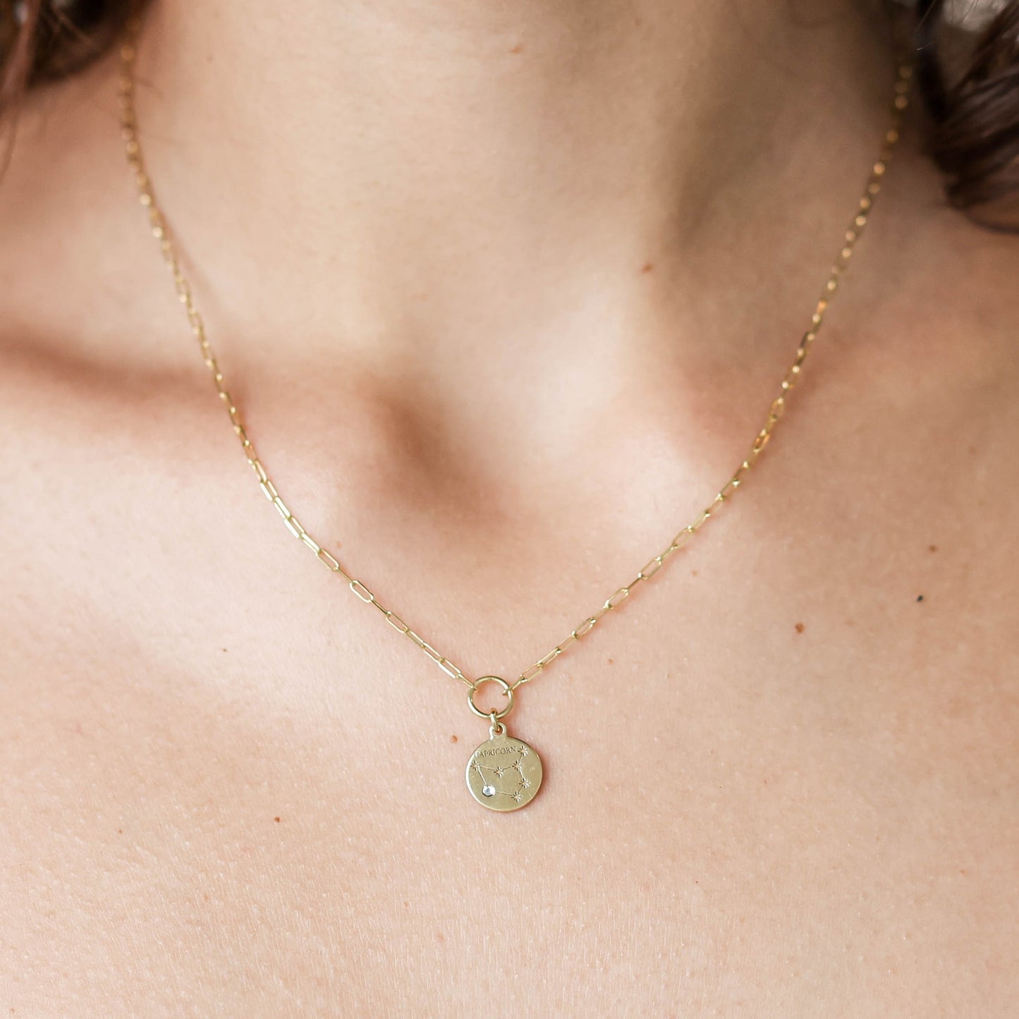 Capricorn Zodiac Star Sign Necklace