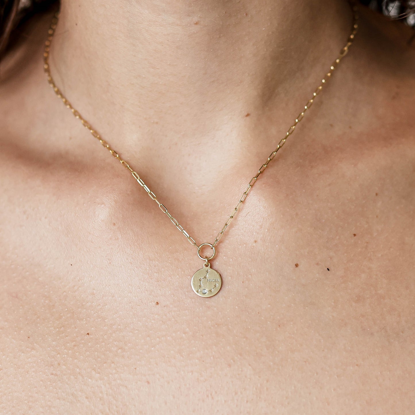 Pisces Zodiac Star Sign Necklace