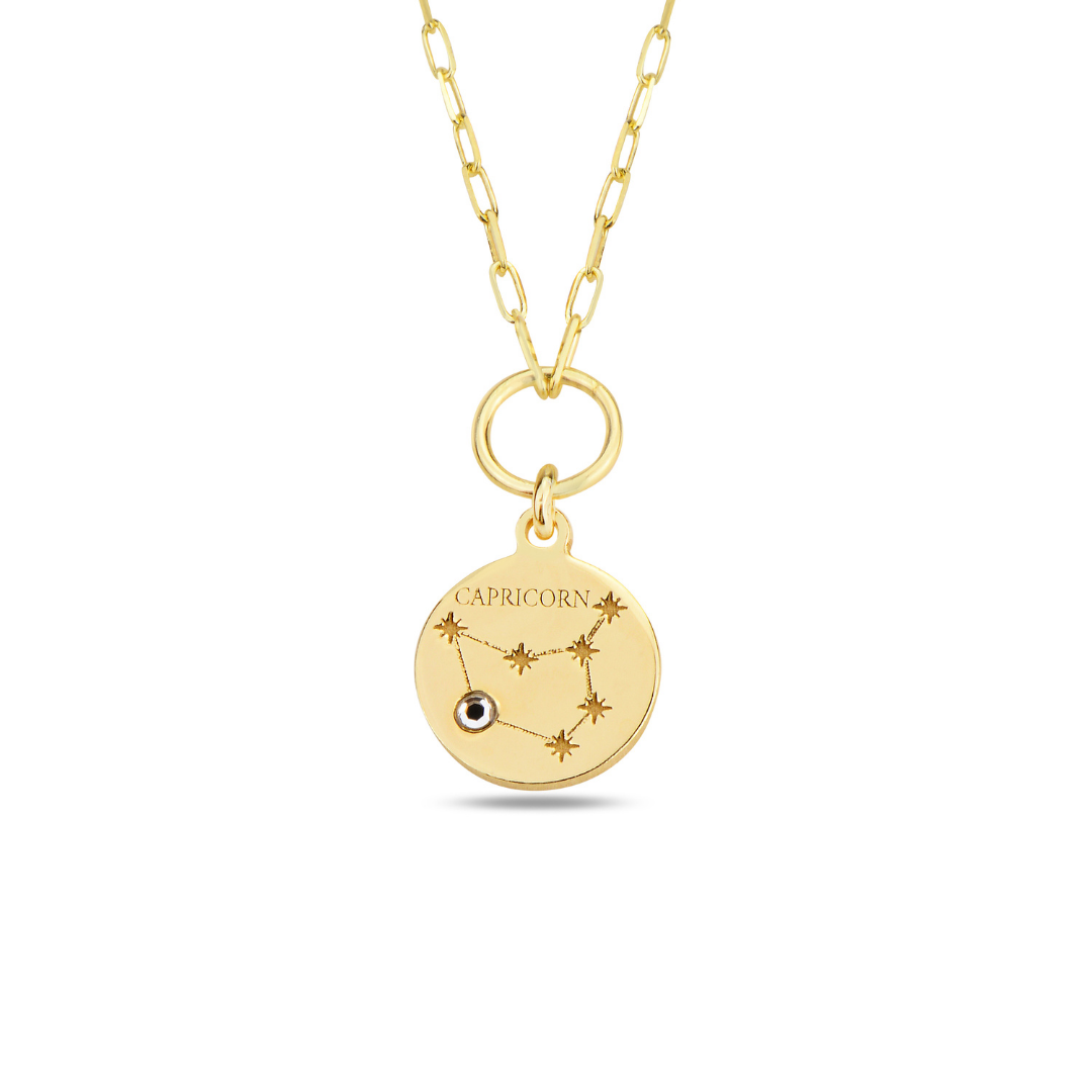 Capricorn Zodiac Necklace - Your determination is your superpower
