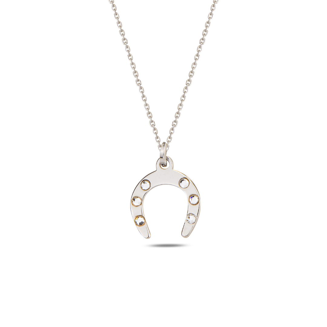 Lucky Horseshoe Symbol Necklace Silver